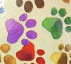 Multicolored Paw Prints on a Beige Background