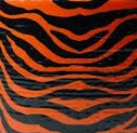 Orange and Black Tiger Stripes
